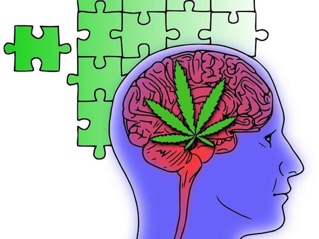 Cannabis bei Autismus