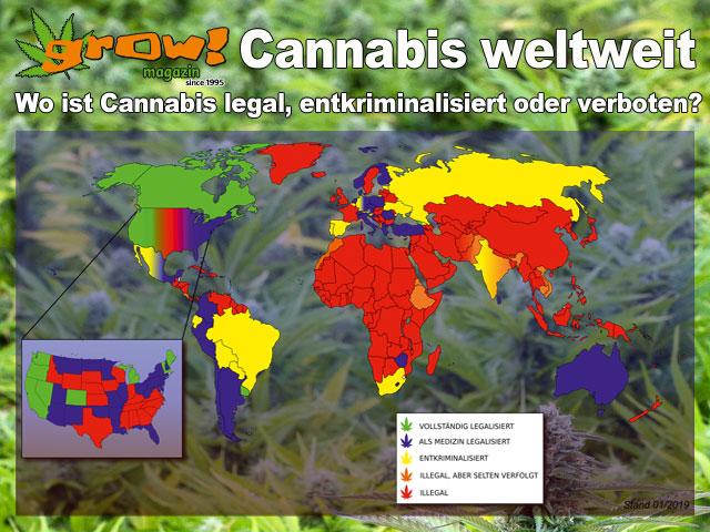 Cannabis weltweit - Wo ist Cannabis legal, entkriminalisiert oder verboten? Weltkarte