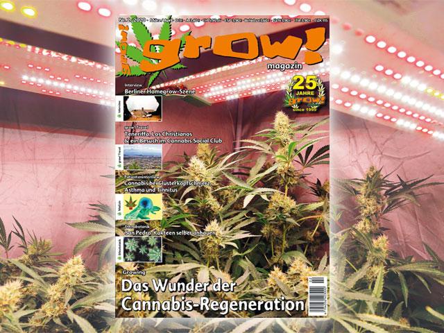 grow! Magazin 2-20 Cover